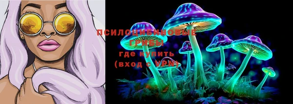 гидра Алзамай