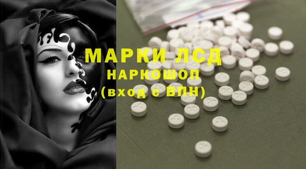 apvp Алексин