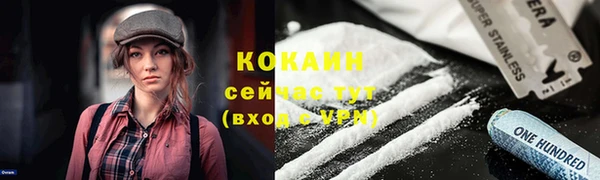 apvp Алексин