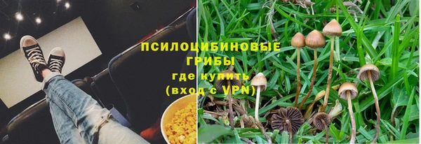 гидра Алзамай