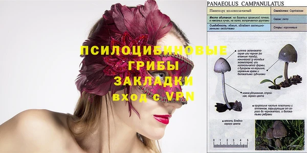 ешки Абаза